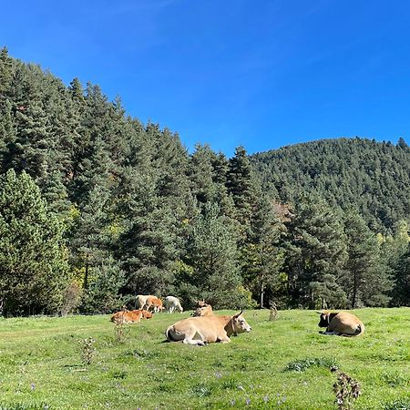 Apartamento Dalia La Molina  Exteriér fotografie